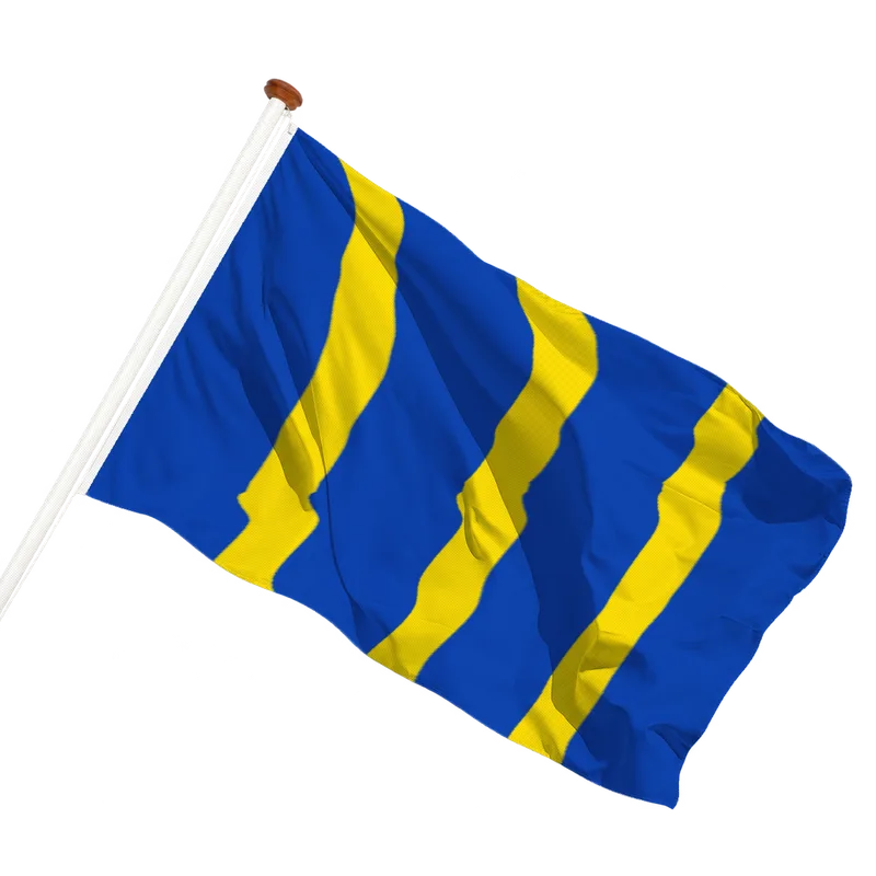 Flag of Twisk