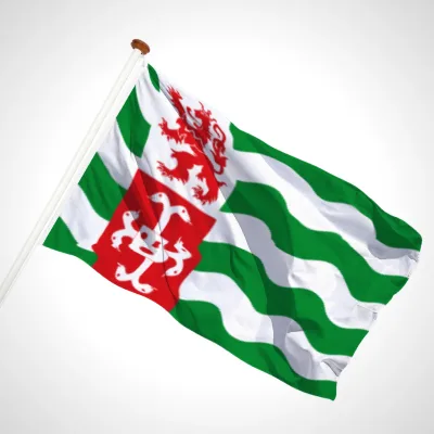 white background