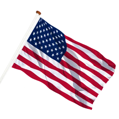 transparent background