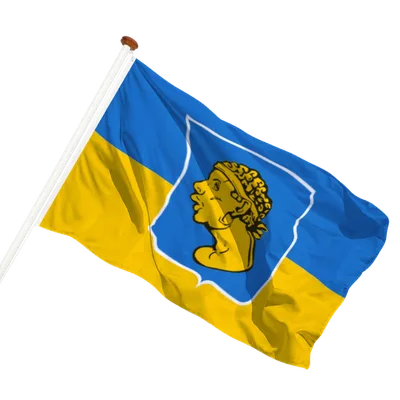 transparent background