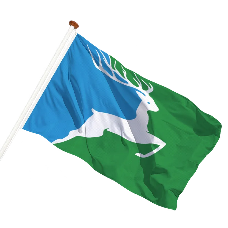 Flag of De Steeg