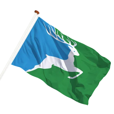 transparent background