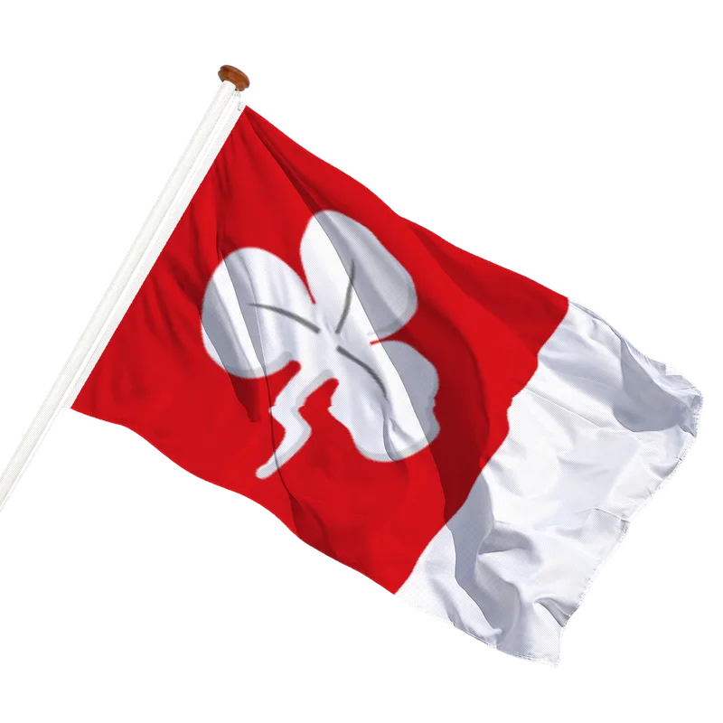Flag of Deersum