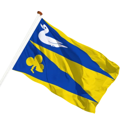 transparent background