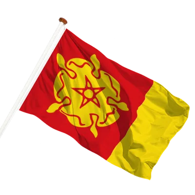 transparent background