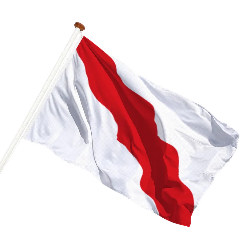 Flag of Giessen