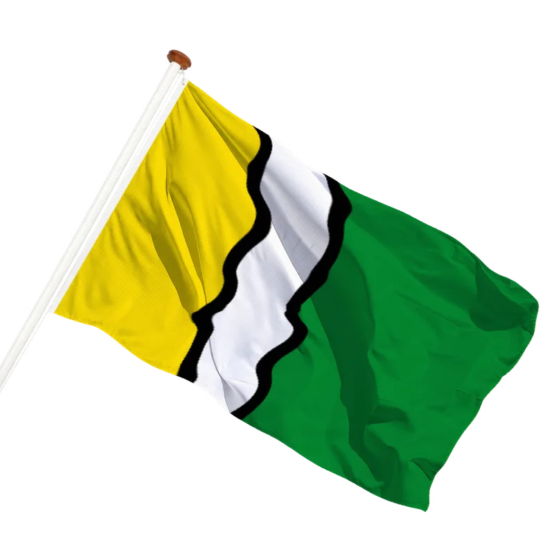 Flag of Olst