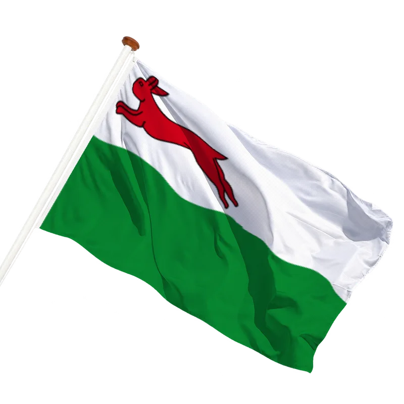 Flag of Oudehaske