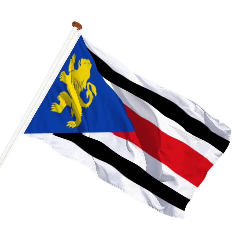 Flag of Finsterwolde
