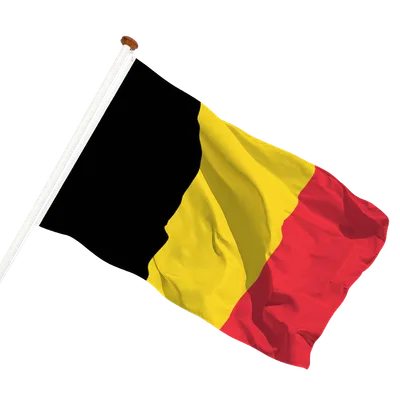 transparent background