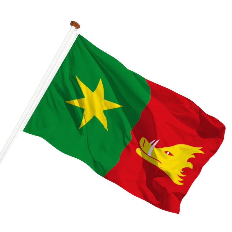 Flag of Holten