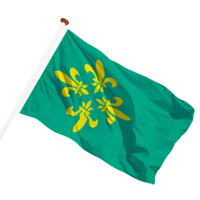 transparent background