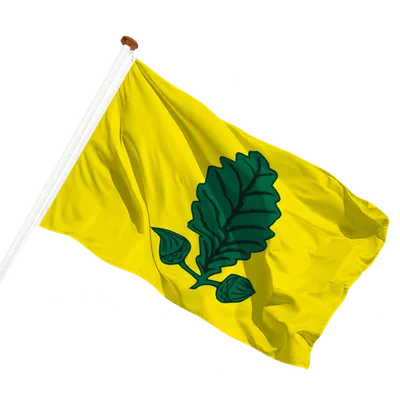 transparent background