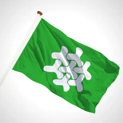 white background