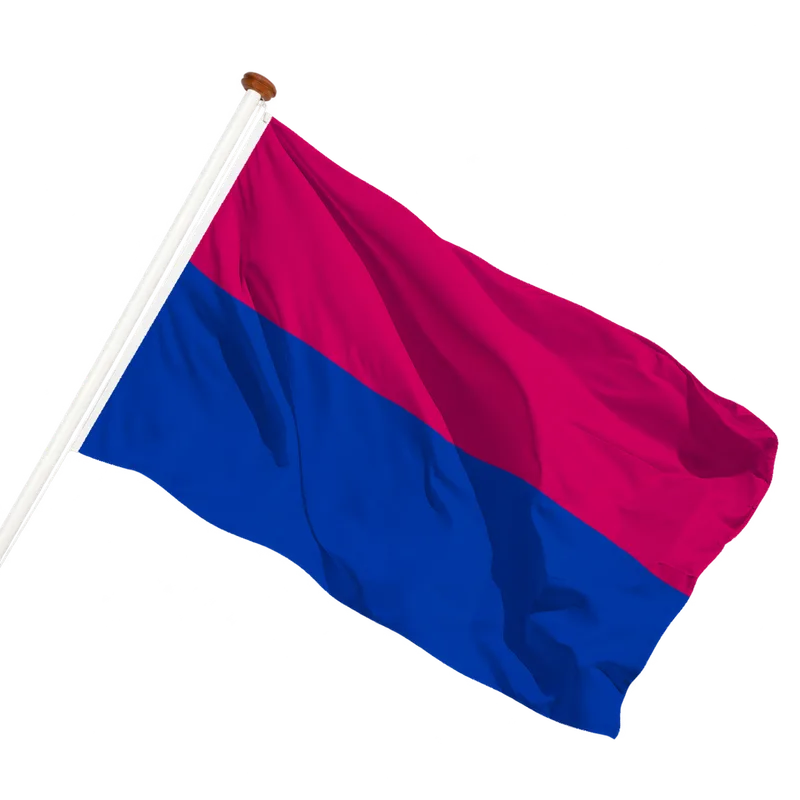 Flag of Venlo