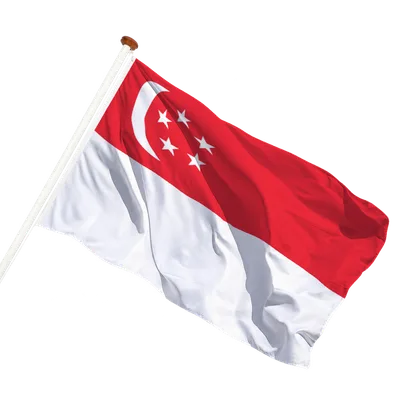 transparent background