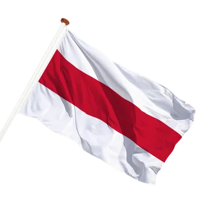 transparent background