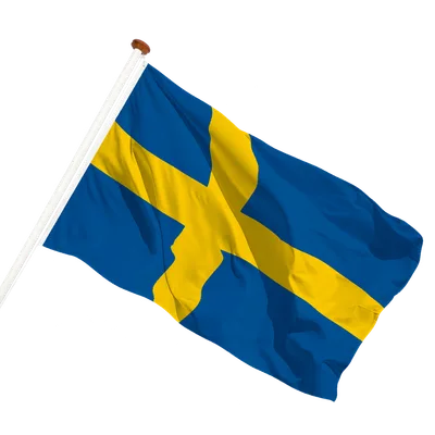 transparent background