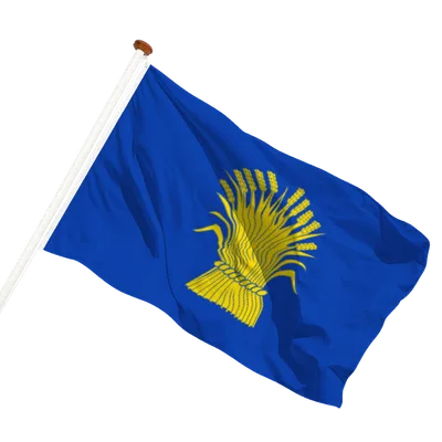 transparent background