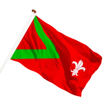 transparent background