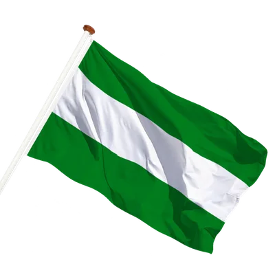 transparent background