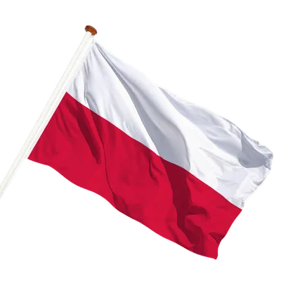transparent background