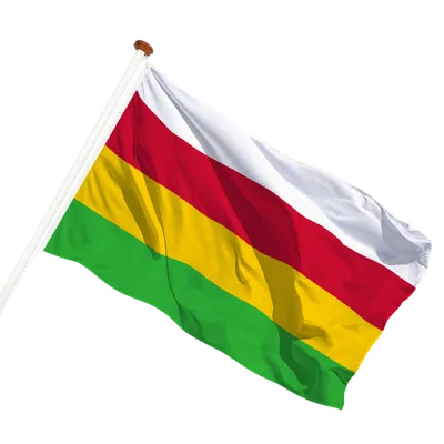 transparent background