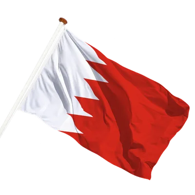transparent background