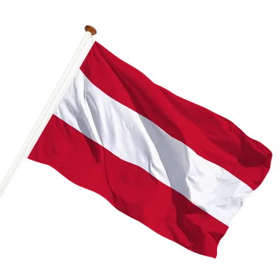 transparent background