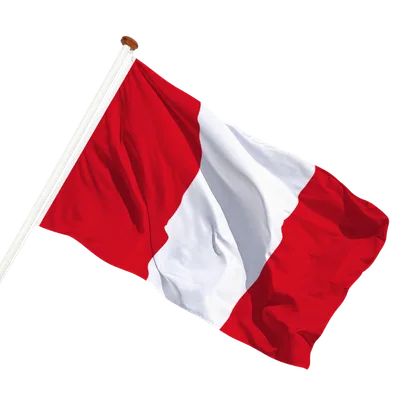 transparent background