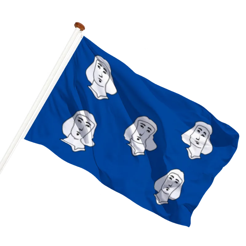 Flag of Ciney