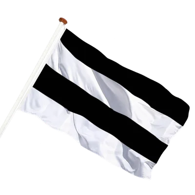 transparent background