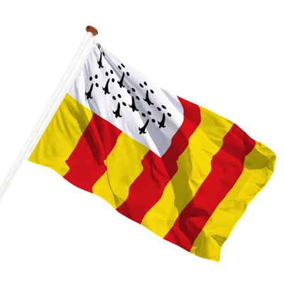 transparent background
