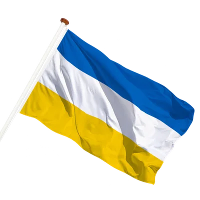 transparent background