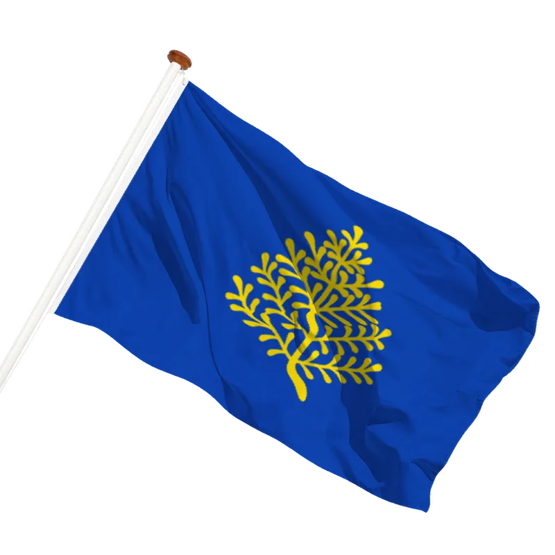 Flag of Rijssen