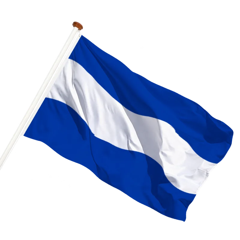 Flag of Maassluis
