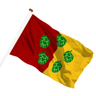 transparent background