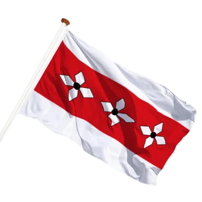transparent background