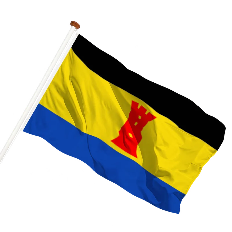 Flag of Born