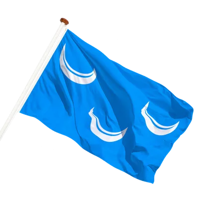 transparent background