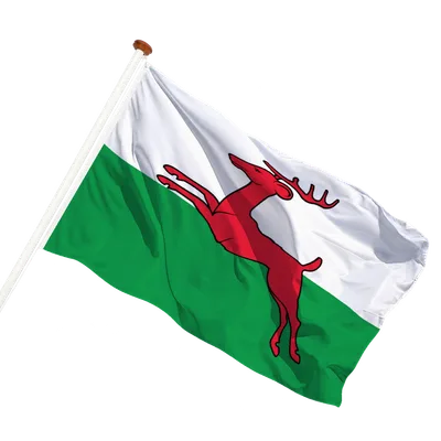 transparent background