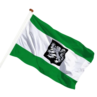 transparent background