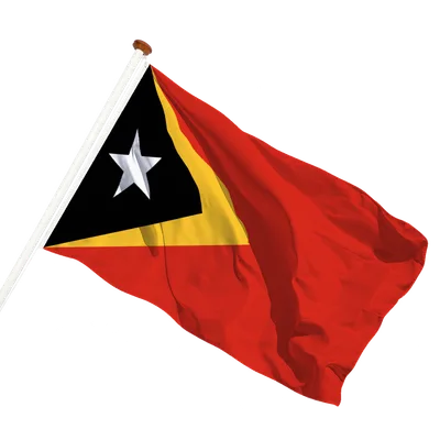 transparent background