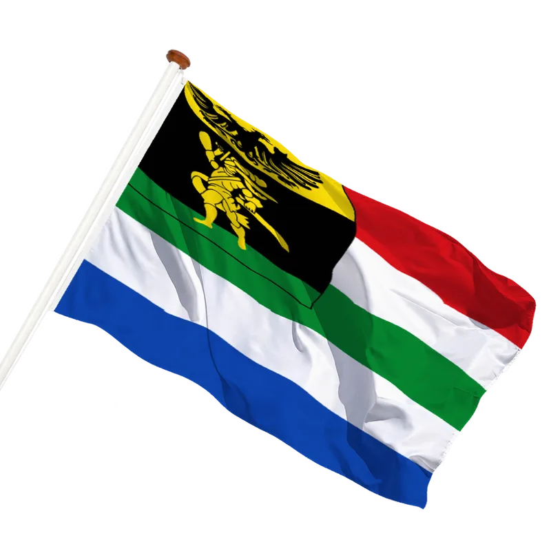 Flag of Stedum