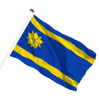transparent background
