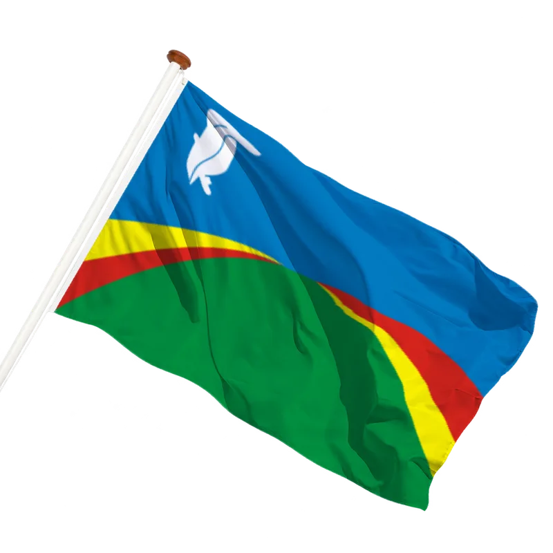 Flag of Biddinghuizen