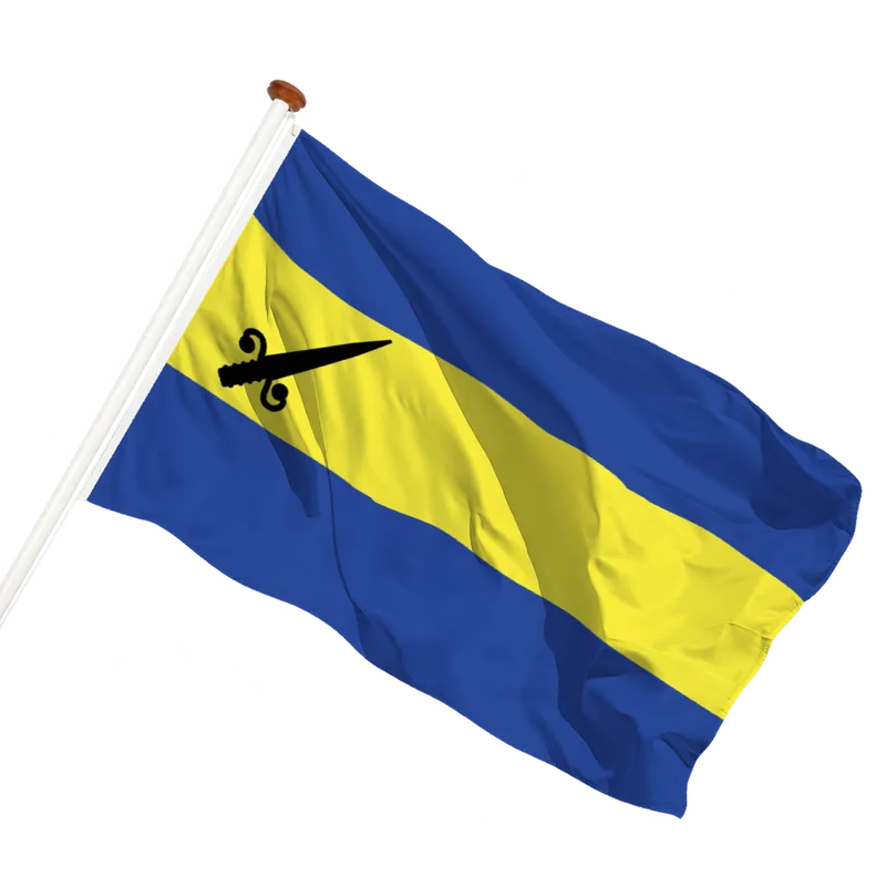 Flag of Farmsum