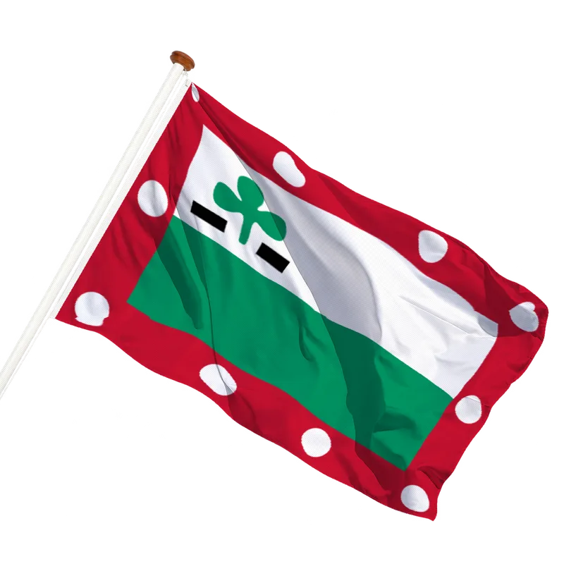 Flag of Meppel