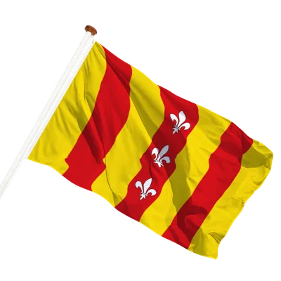 transparent background