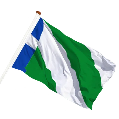 transparent background